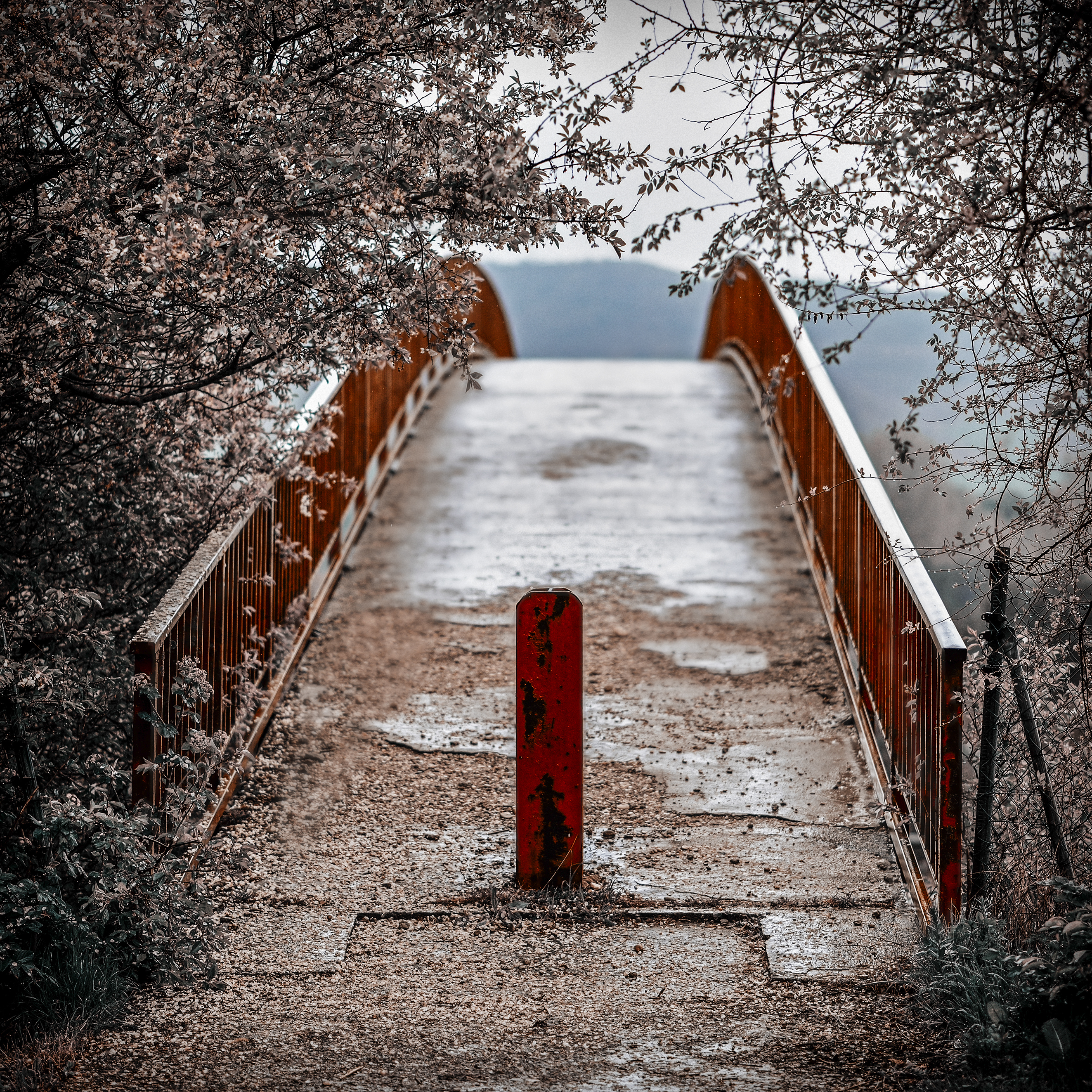 Puente rojo de Quintanavides