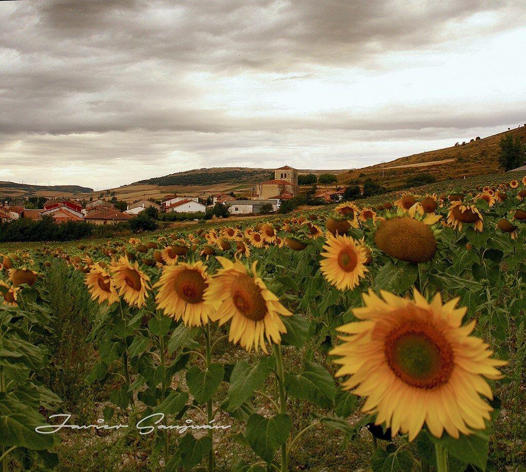 Fotografía de la galería de imágenes con id: 849
