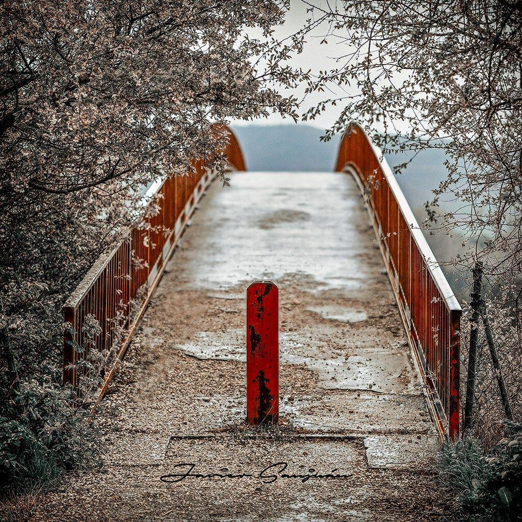 Fotografía de la galería de imágenes con id: 852